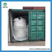 portland cement 42.5 /silicate cement 425